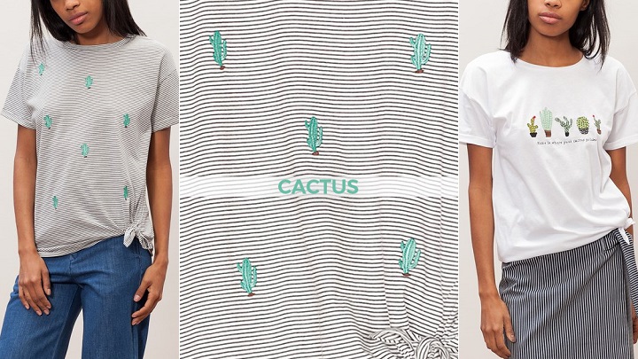 Cactus Stradivarius